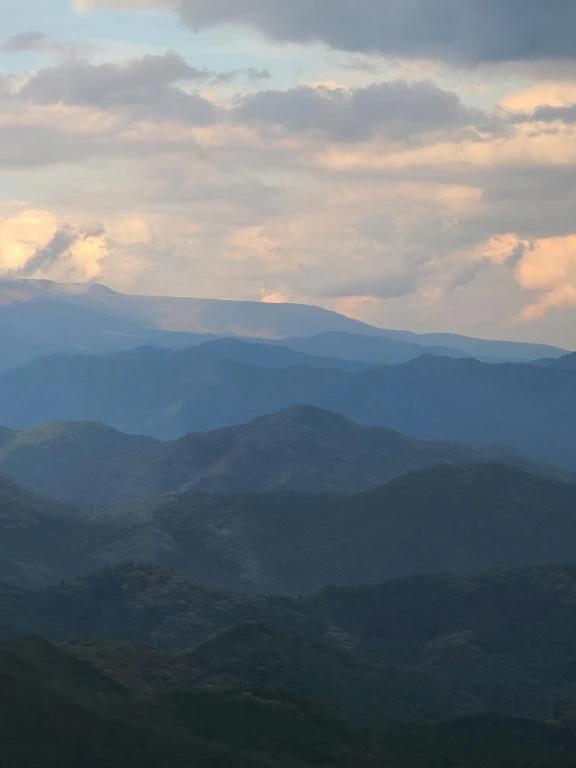 苦手なこと、本当に無理です