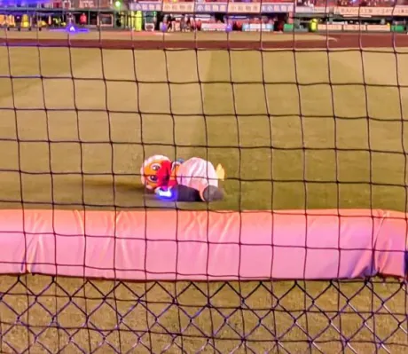 本多セリカのブログ 野球観戦