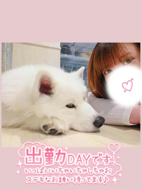 ほのかのブログ ︎🤍13時から出勤❣️🈳