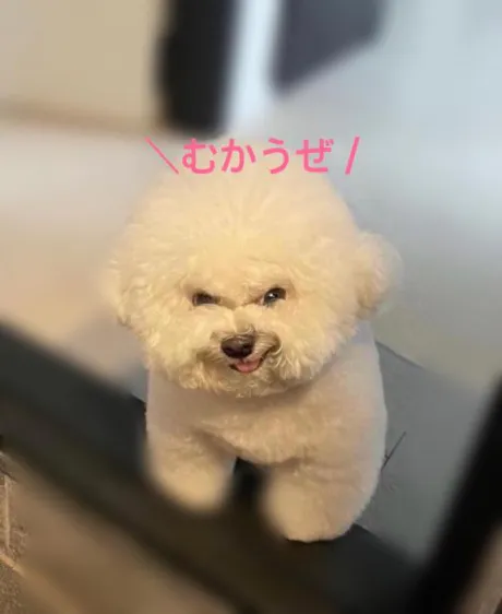 ぷ/みずほ　奥様
