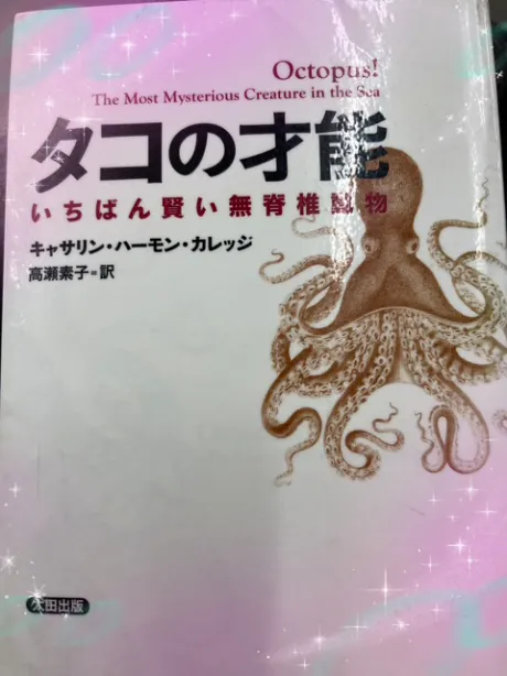 ことみ仙台人妻花こよみ
