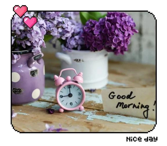 杉原（すぎはら）熟女屋本舗