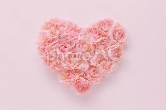 ご予約お礼❤︎29日14時からの紳士様へ