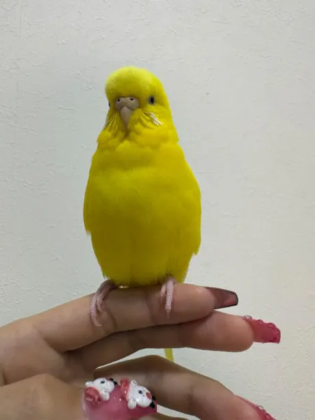 お休み( ˇωˇ )/しおり