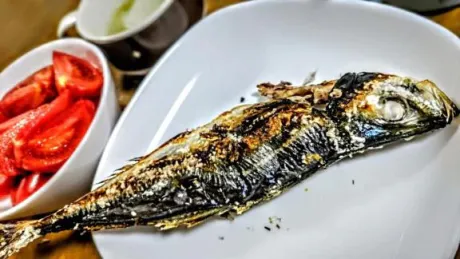 こんばんは/みれい