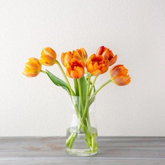 【お礼写メ日記】/一華(いちか)