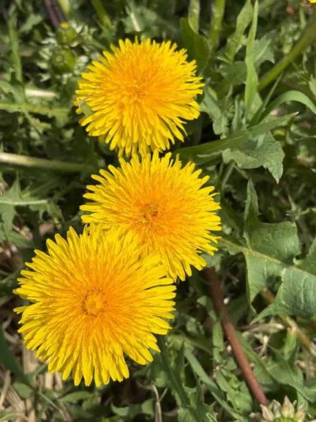 見たよだけだと｡｡｡