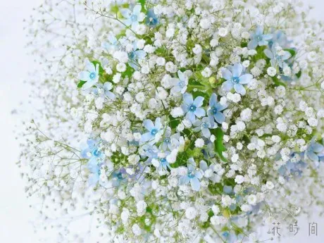 しおり★官能の美と格別の癒し隣の人妻お口で愛して