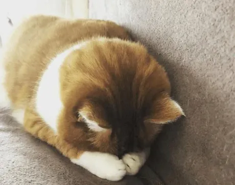るなのブログ ごめんなさい～