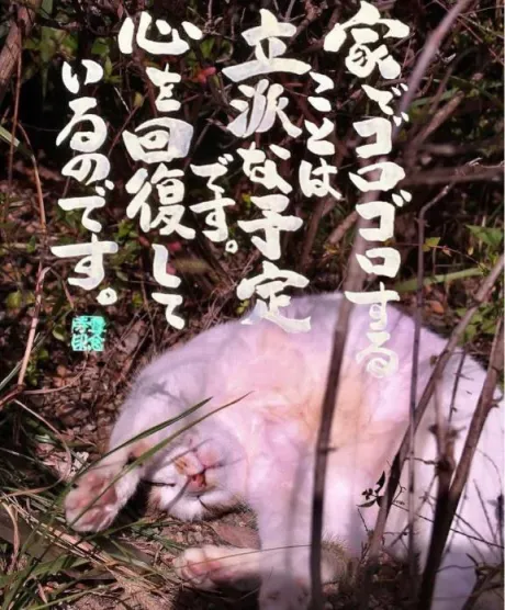 シオン人妻生レンタルーNTRー