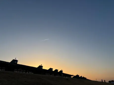 御礼にっき/新人かや