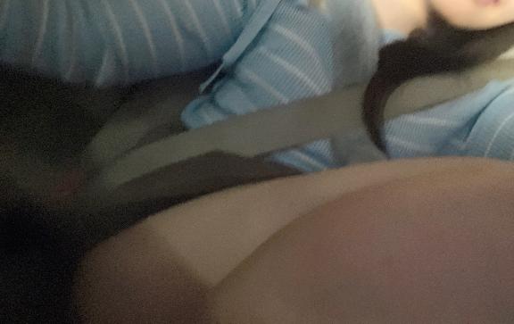 ミミのブログ ご自宅アザラシ🦭