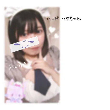 今日は、