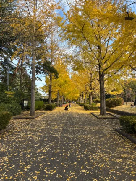 体験入店るしあ【全部ドンピシャ】のブログ 秋ですね🍂