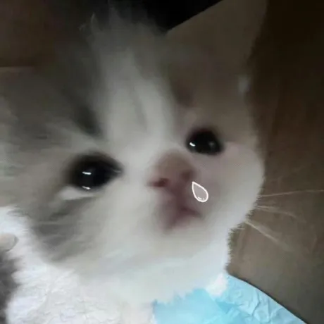 なの宮城♂風俗の神様　仙台店