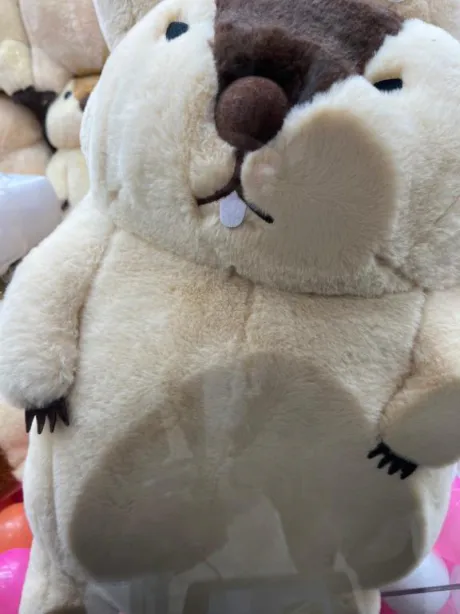 ゆいDeliysCure仙台
