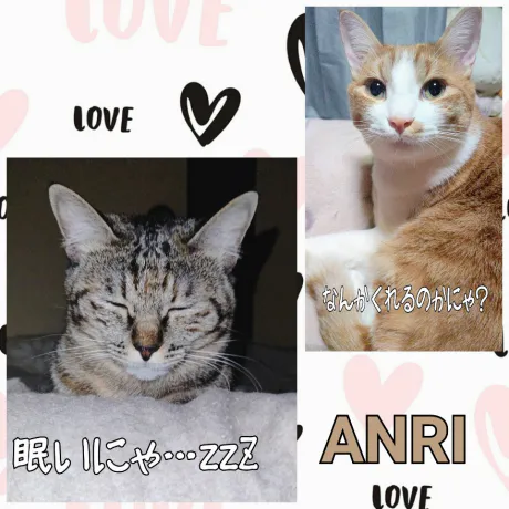 あんり様(スレンダーS嬢)デリボックス