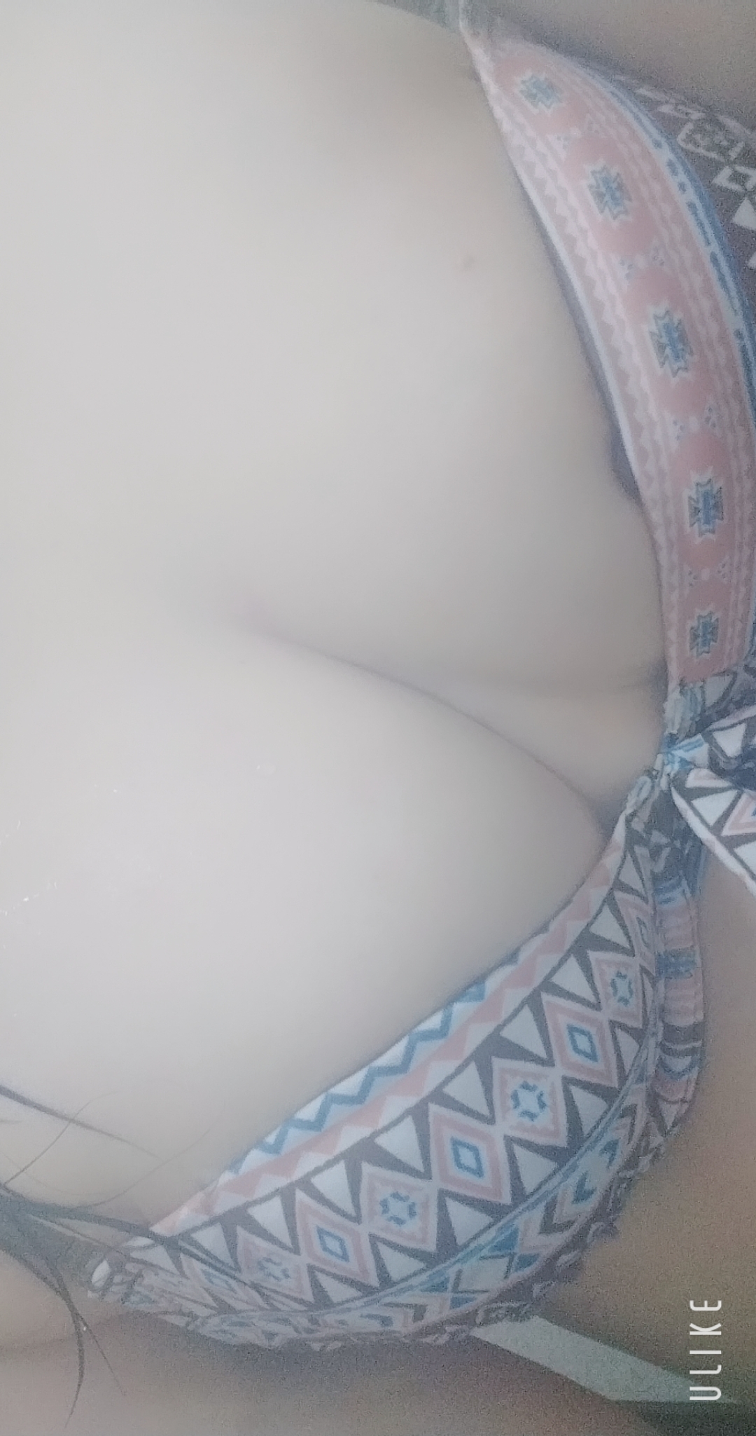 プニュ/緊急入店マオリ(弘前)