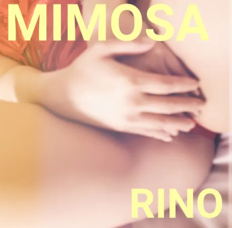 新人りのさん[青森]MIMOSA