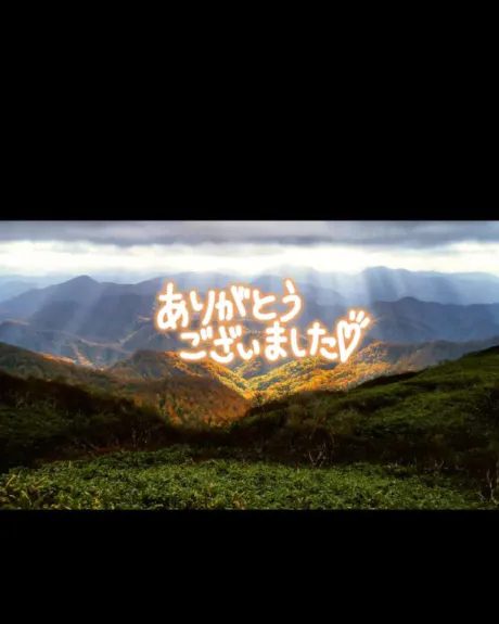 昨日のお礼です/こと