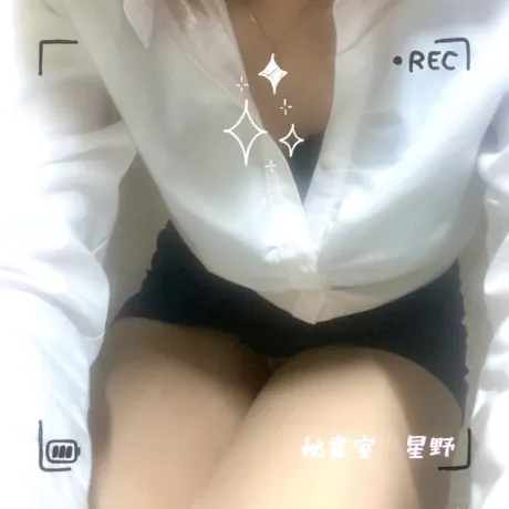 秘書・星野(ほしの)さんのブログ 良いお年を～