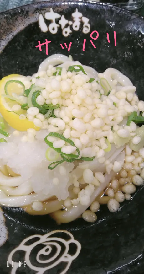 業界初まりん(弘前)ガチンコ