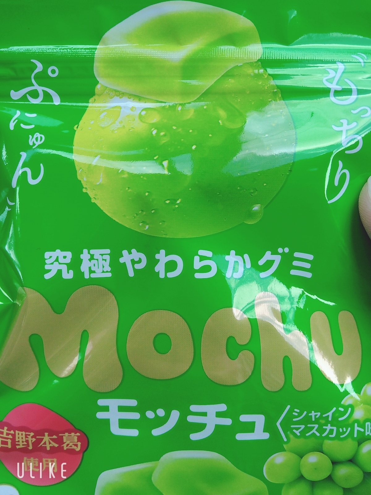 これからお出かけ