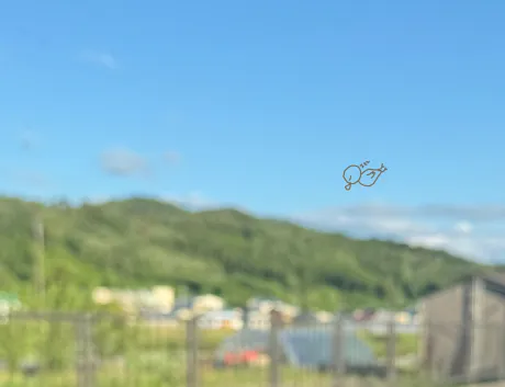 ももこです(^з^)今すぐ♀/ももこ