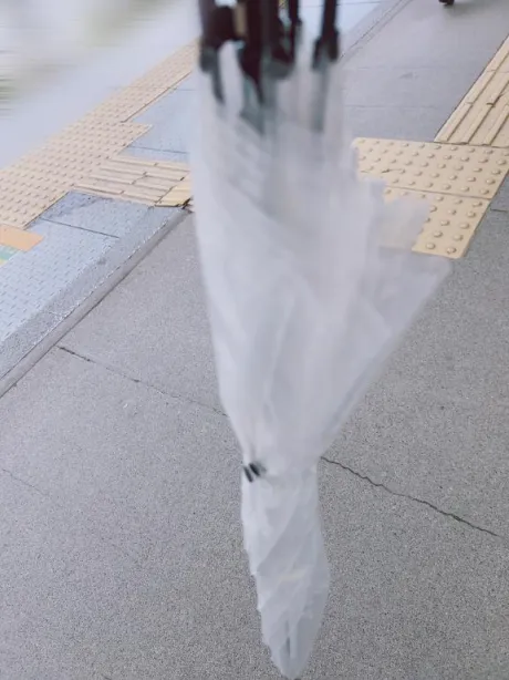 ✨️しゅっき~ん✨️