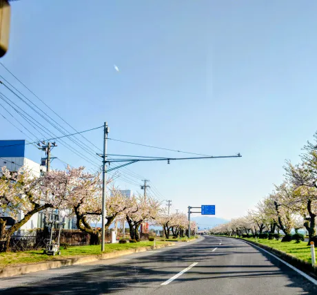 お礼❤︎/美人妻・みずき