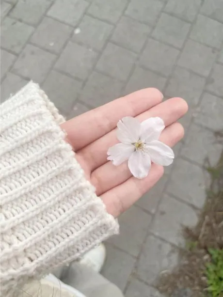 ことのブログ 🌸