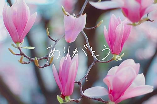 なお奥様メモリアル