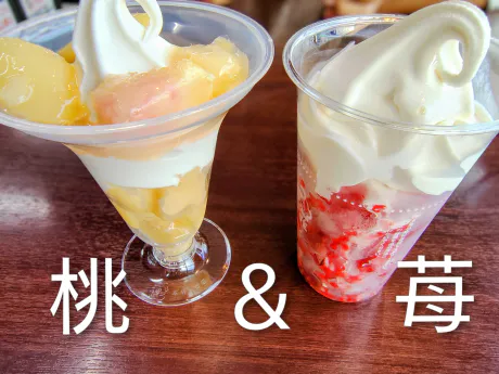 ひかりG-1