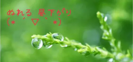 ゆきえおばさんの店