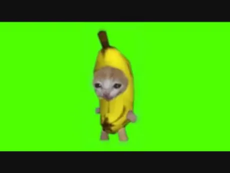 むつ店ゆめ【ソープ経験者♪】キューティーハニーズ