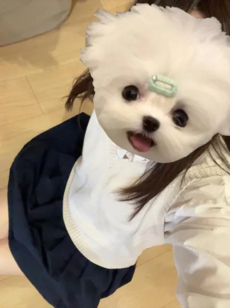 体験入店 さき3年H組