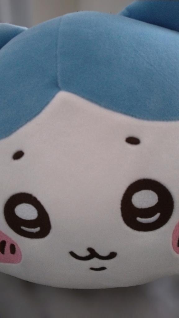 変更しました