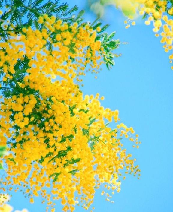 ☀️
