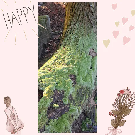 多岐川　由栞Escort Club CLASSY