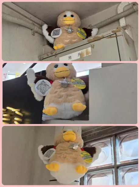 🐥🐥🐥WANTED🐥🐥🐥
