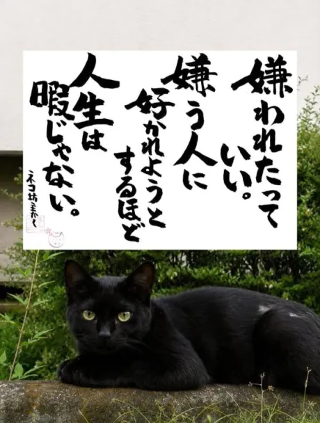 こんにちは♡/シオン