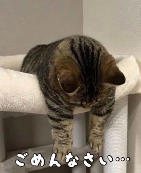 ゆずきおばさんの店　FC　古川店