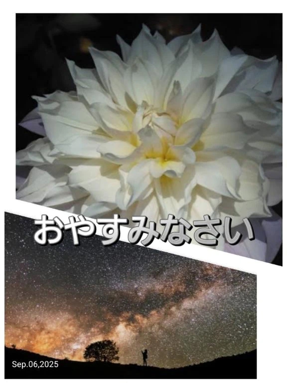 今日も1日お疲れ様❤️