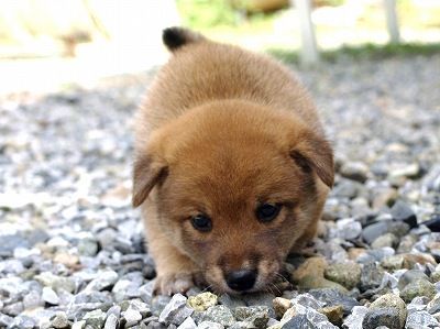 お疲れ様です (*^^*)