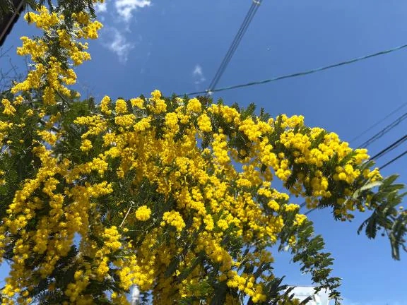 感謝❤️✨🌈🌈🌈