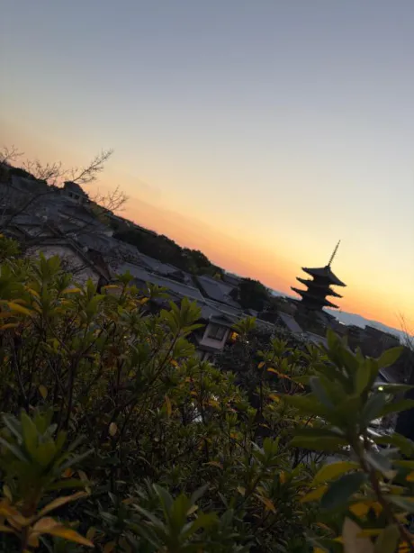 きれいな景色みたい🥺/モカ