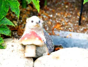 9月に入り/あやの 奥様