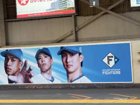 東北に戻ってます(* 'ᵕ' )☆