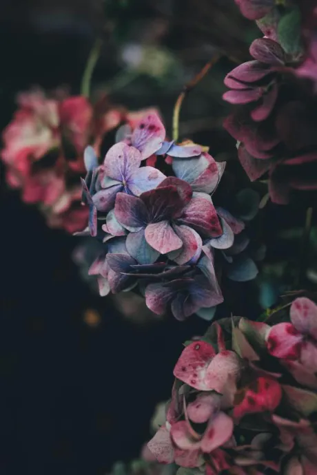 好きな季節🌷