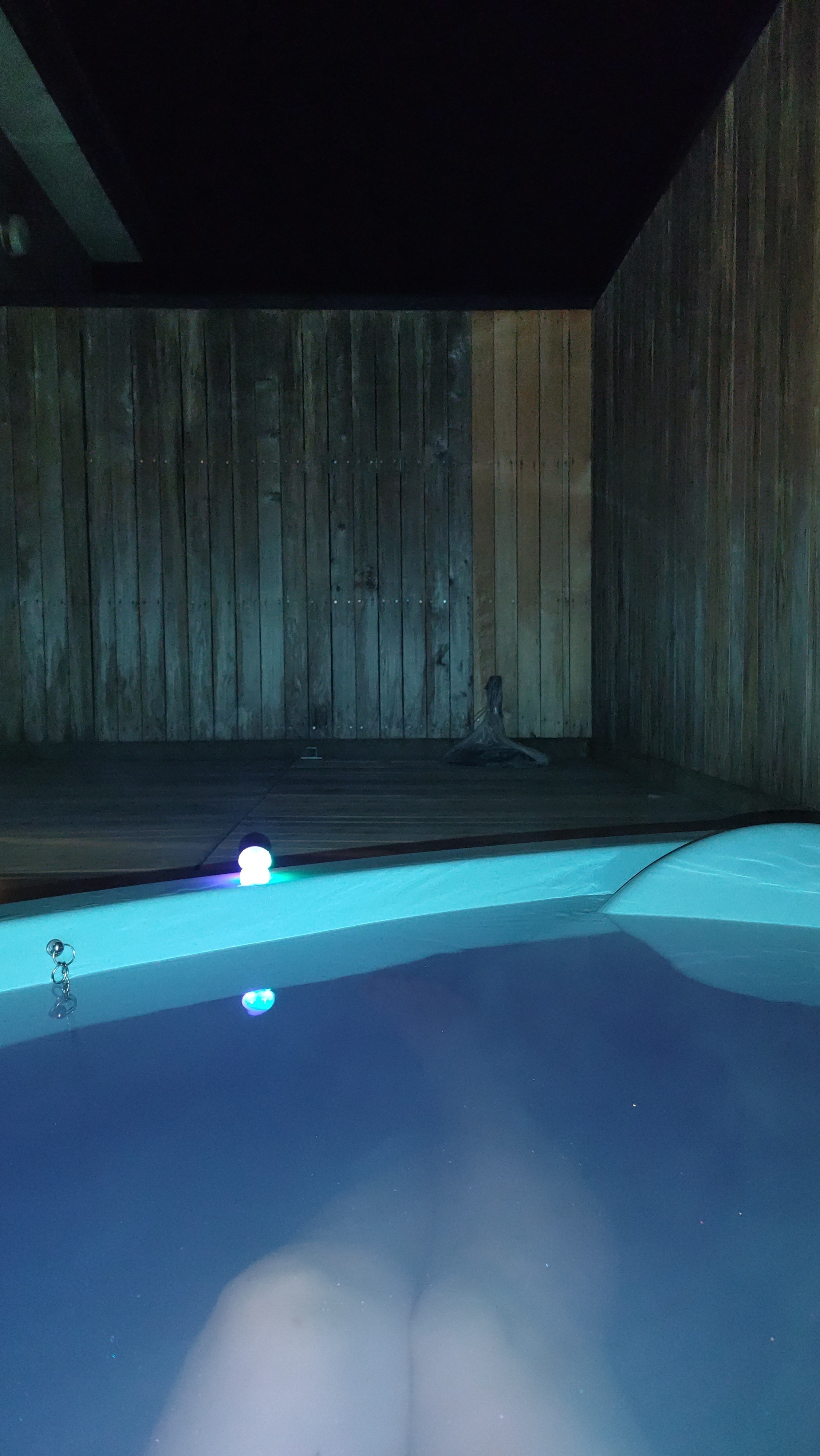 来週のスケジュール